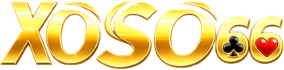 https://souswim.co
