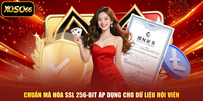 Chuẩn mã hóa SSL 256-bit áp dụng cho dữ liệu hội viên