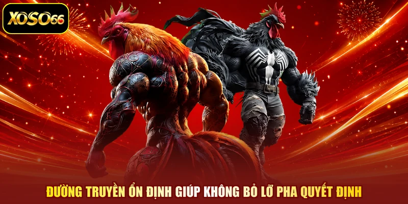 Đường truyền ổn định giúp không bỏ lỡ pha quyết định