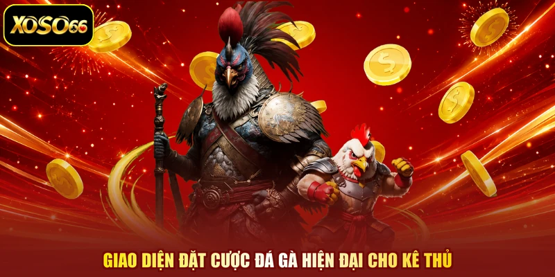 Giao diện đặt cược đá gà hiện đại cho kê thủ